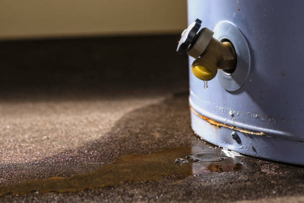 Best Commercial water damage restoration  in Alton, IL