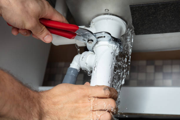Best Water damage repair service  in Alton, IL