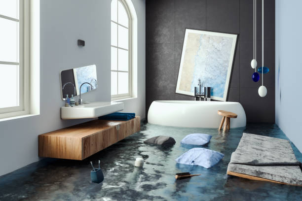 Best Mold removal after water damage  in Alton, IL