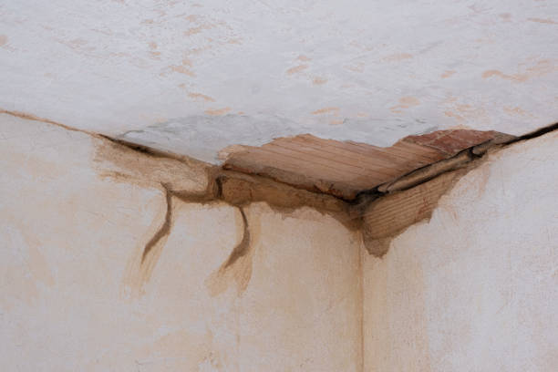 Best Flood damage cleanup  in Alton, IL