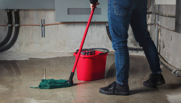 Best Emergency water damage restoration  in Alton, IL