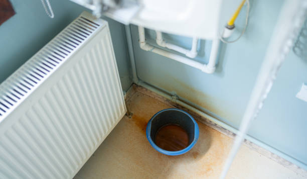 Best Water damage restoration near me  in Alton, IL