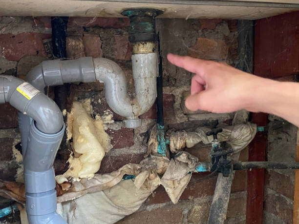 Best Fire Damage Restoration  in Alton, IL