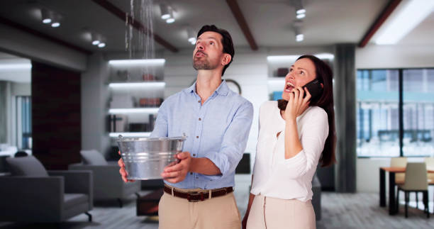 Best Flooded house restoration  in Alton, IL
