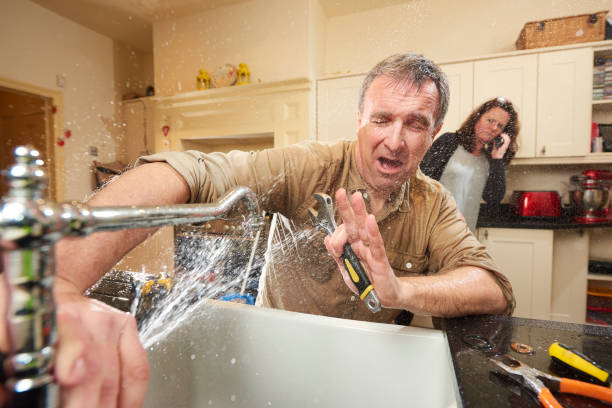 Best Flood restoration services  in Alton, IL